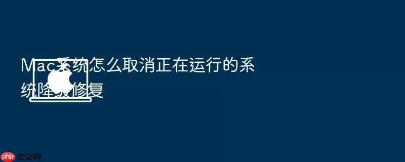 Mac系统怎么取消正在运行的系统降级修复
