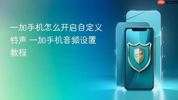 一加手机怎么开启自定义铃声 一加手机音频设置教程