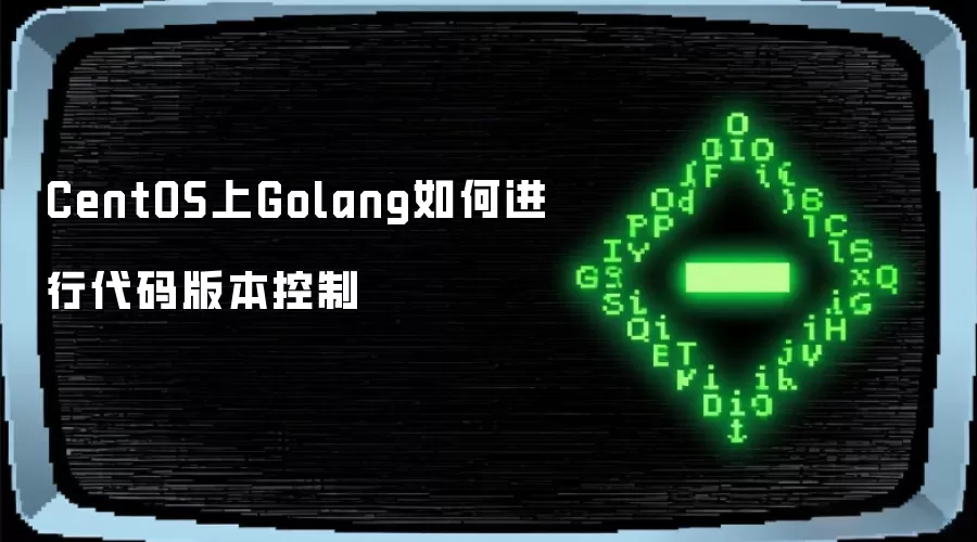 CentOS上Golang如何进行代码版本控制