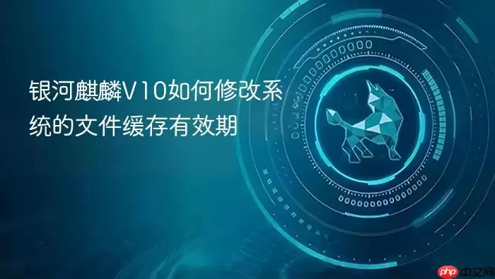 银河麒麟V10如何修改系统的文件缓存有效期