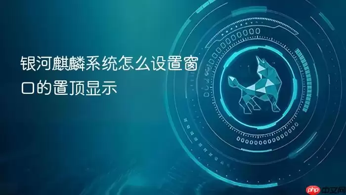 银河麒麟系统怎么设置窗口的置顶显示