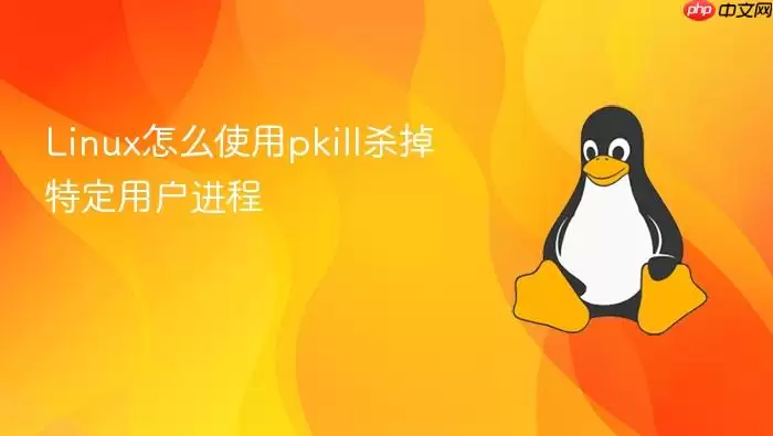 Linux怎么使用pkill杀掉特定用户进程
