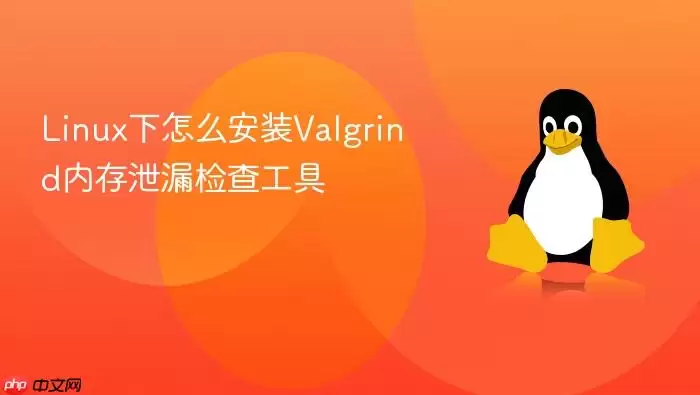 Linux下怎么安装Valgrind内存泄漏检查工具