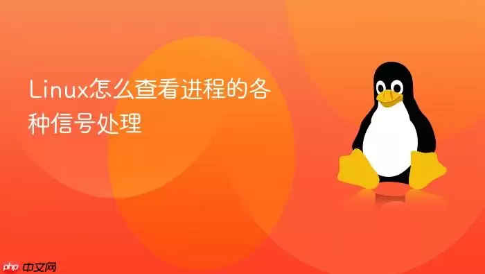 Linux怎么查看进程的各种信号处理