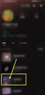 汽水音乐怎样设置仅自己可见的歌单