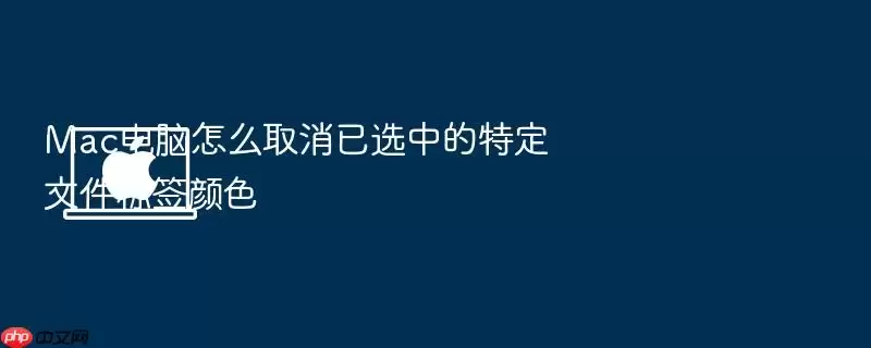 Mac电脑怎么取消已选中的特定文件标签颜色