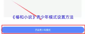 椿和小说如何设置青少年模式