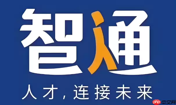 智通人才网怎么修改项目经验的详细描述