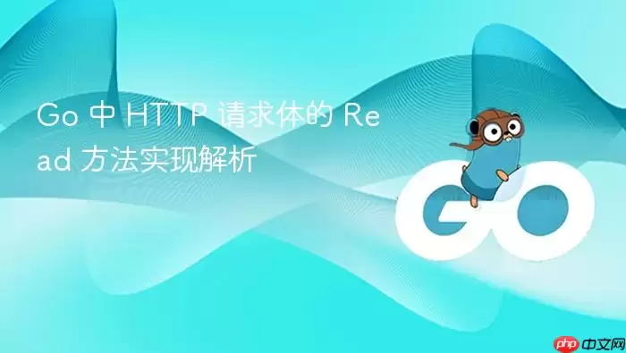 Go 中 HTTP 请求体的 Read 方法实现解析