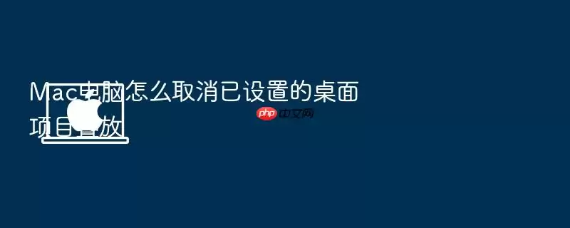 Mac电脑怎么取消已设置的桌面项目叠放
