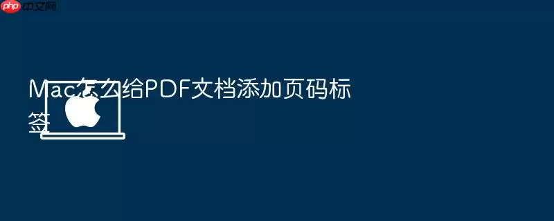 Mac怎么给PDF文档添加页码标签