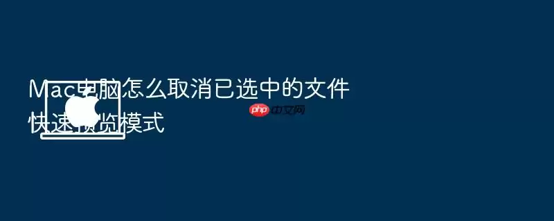 Mac电脑怎么取消已选中的文件快速预览模式