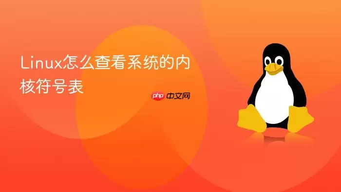 Linux怎么查看系统的内核符号表