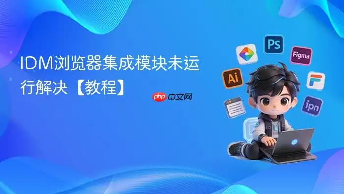 IDM浏览器集成模块未运行解决【教程】
