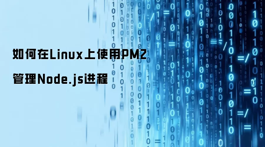 如何在Linux上使用PM2管理Node.js进程