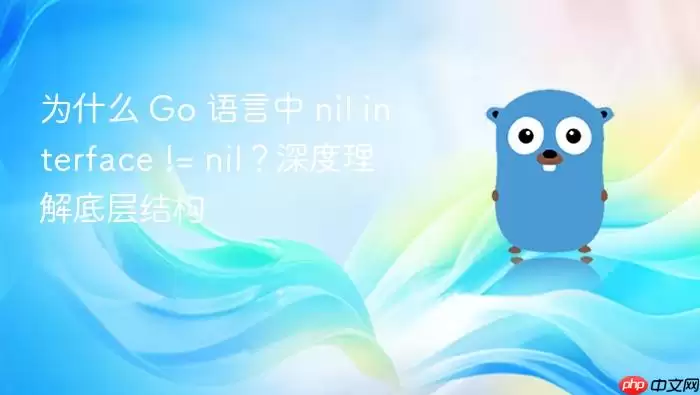为什么 Go 语言中 nil interface != nil？深度理解底层结构
