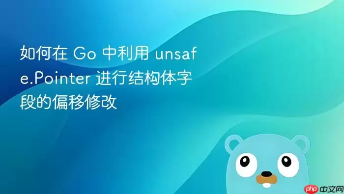 如何在 Go 中利用 unsafe.Pointer 进行结构体字段的偏移修改