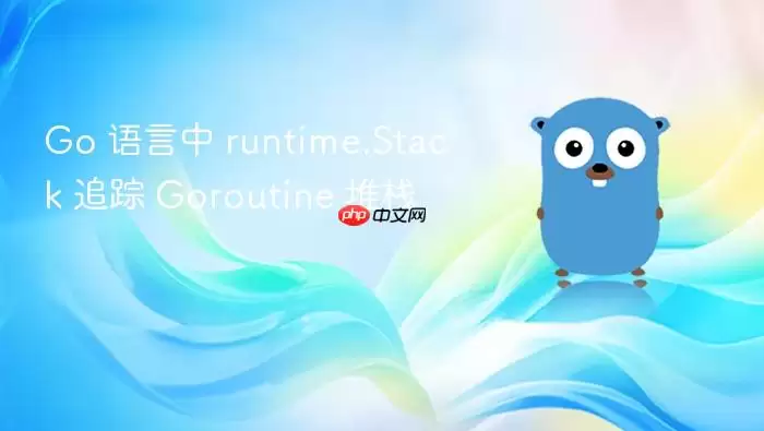 Go 语言中 runtime.Stack 追踪 Goroutine 堆栈