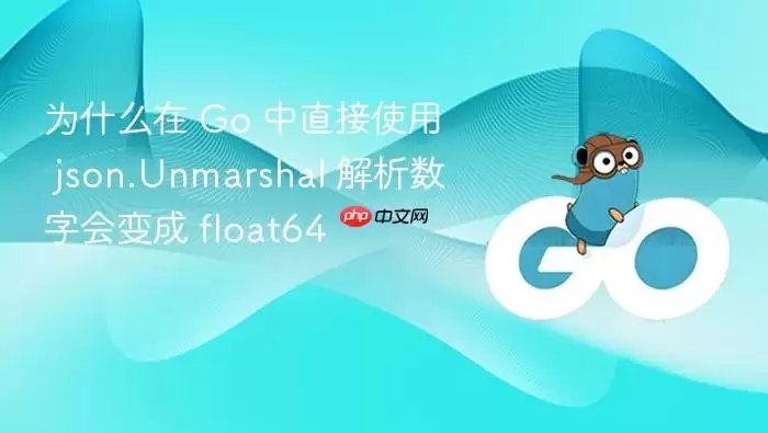 为什么在 Go 中直接使用 json.Unmarshal 解析数字会变成 float64