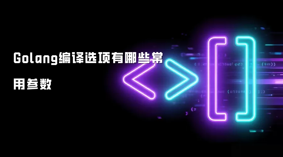 Golang编译选项有哪些常用参数