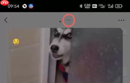微信怎么弄动态背景图 微信朋友圈动态背景设置方法一览