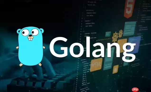 Go语言实现微服务间的零拷贝数据传输方案