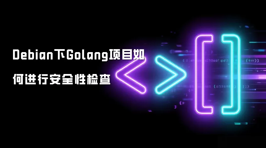 Debian下Golang项目如何进行安全性检查