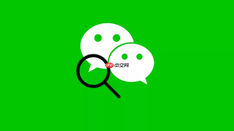 微信文件助手网页版快捷入口 微信文件助手网页版轻松入口