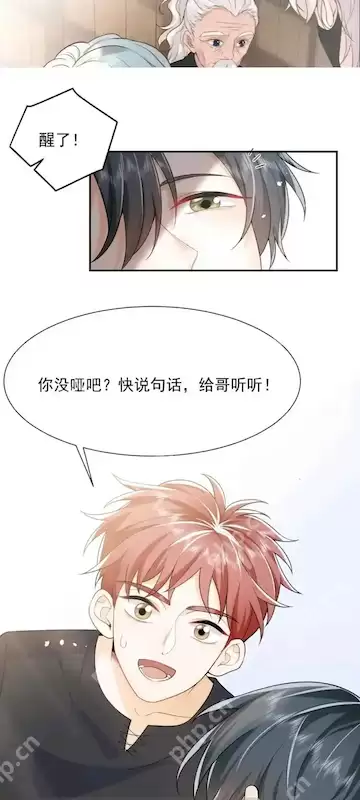 哈哈漫画网官方首页入口 哈哈漫画免费在线观看