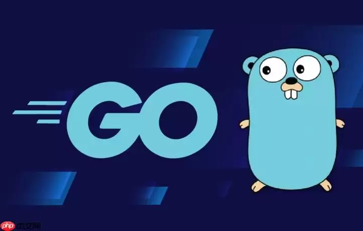 Golang结构体字段标注 使用Tags进行配置映射