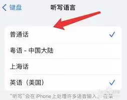 苹果录音转文字功能设置位置在哪