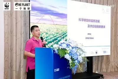 如何进入SBTI测试