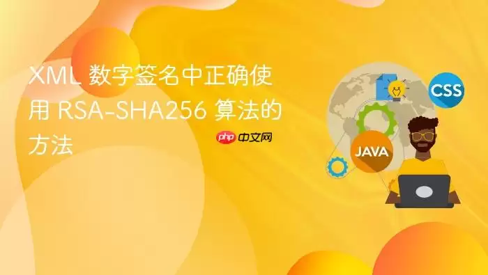 XML 数字签名中正确使用 RSA-SHA256 算法的方法