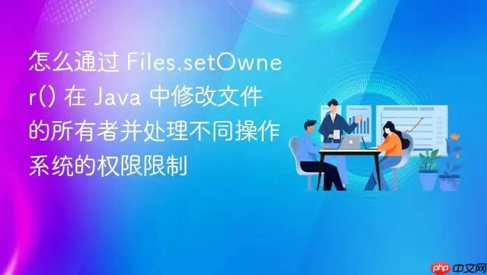 怎么通过 Files.setOwner() 在 Java 中修改文件的所有者并处理不同操作系统的权限限制