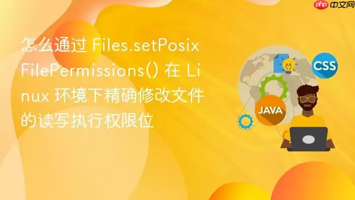 怎么通过 Files.setPosixFilePermissions() 在 Linux 环境下精确修改文件的读写执行权限位
