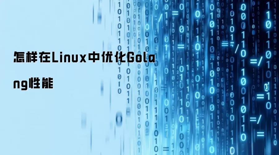 怎样在Linux中优化Golang性能