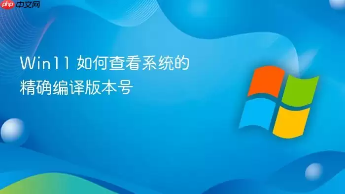 Win11 如何查看系统的精确编译版本号