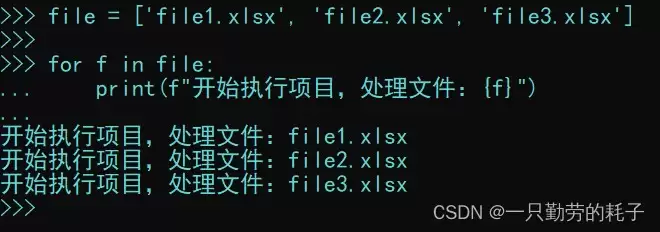 python之列表的高级应用及说明