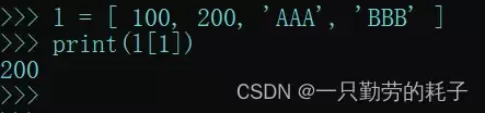 python之列表的高级应用及说明
