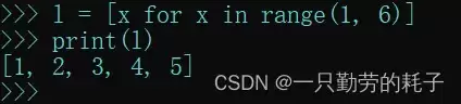 python之列表的高级应用及说明