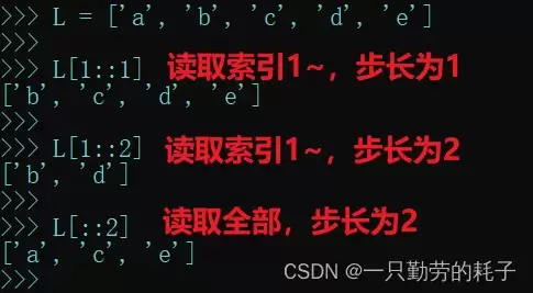 python之列表的高级应用及说明