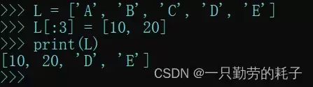 python之列表的高级应用及说明