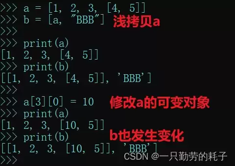 python之列表的高级应用及说明