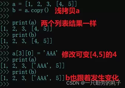 python之列表的高级应用及说明