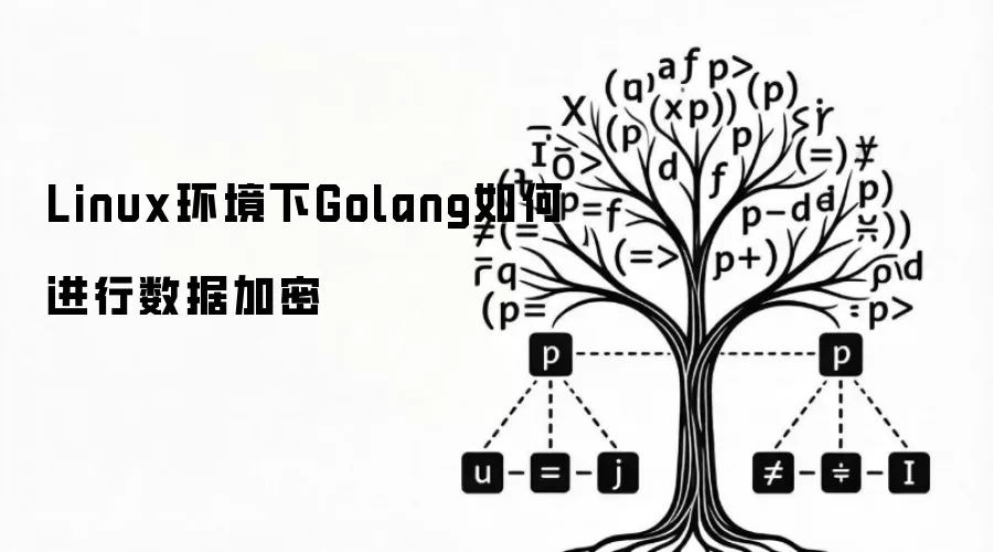Linux环境下Golang如何进行数据加密