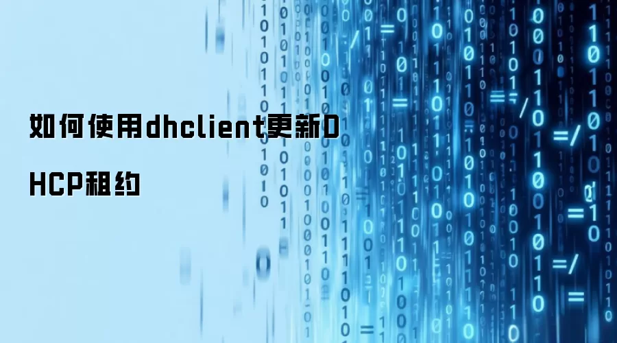 如何使用dhclient更新DHCP租约