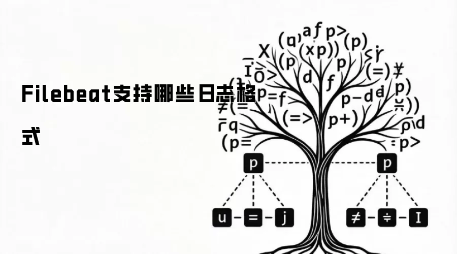 Filebeat支持哪些日志格式