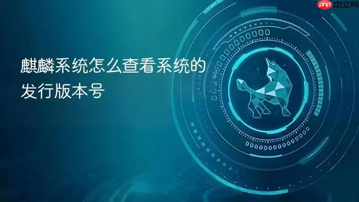 麒麟系统怎么查看系统的发行版本号