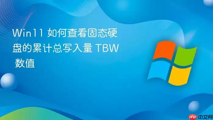 Win11 如何查看固态硬盘的累计总写入量 TBW 数值