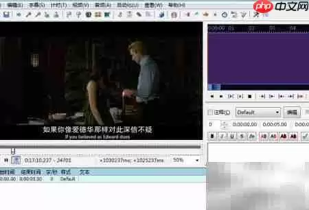 Aegisub打开字体搜集器方法